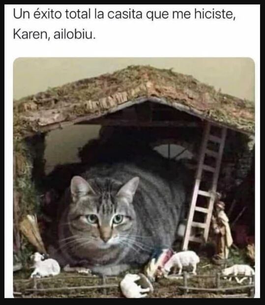 Celebra el día de la enfermera y enfermero con memes