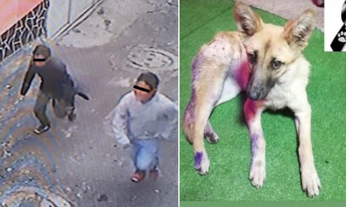 FOTO: tomadas de redes / EL UNIVERSAL/