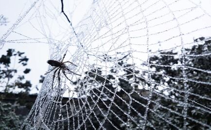 ¿Segunda tormenta invernal, gota fría o DANA? Qué fenómeno entrará a México mañana
