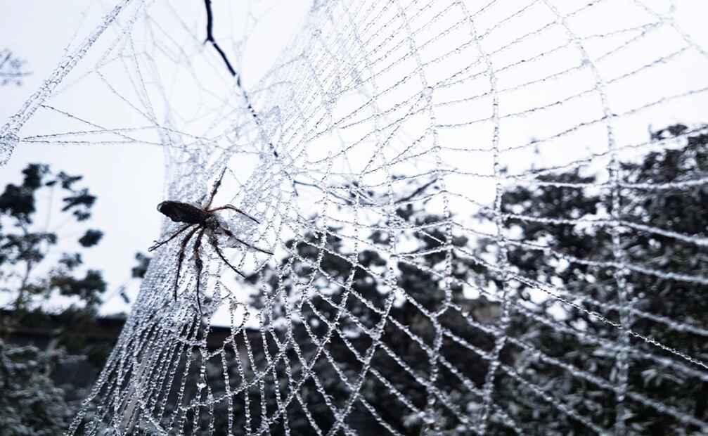 Las bajas temperaturas continuarán en algunos estados de México