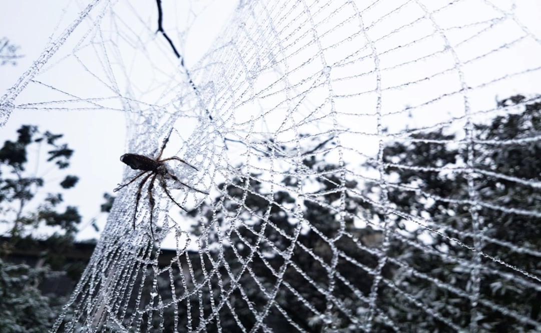 Lo que debes saber sobre el fenómeno de la "gota fría" en México. Foto: Roberto Aguilar