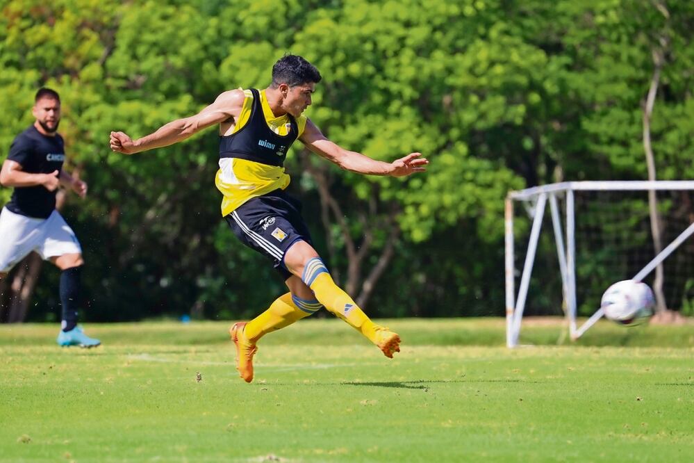 Los felinos están en búsqueda de un refuerzo mexicano. Foto: Club Tigres