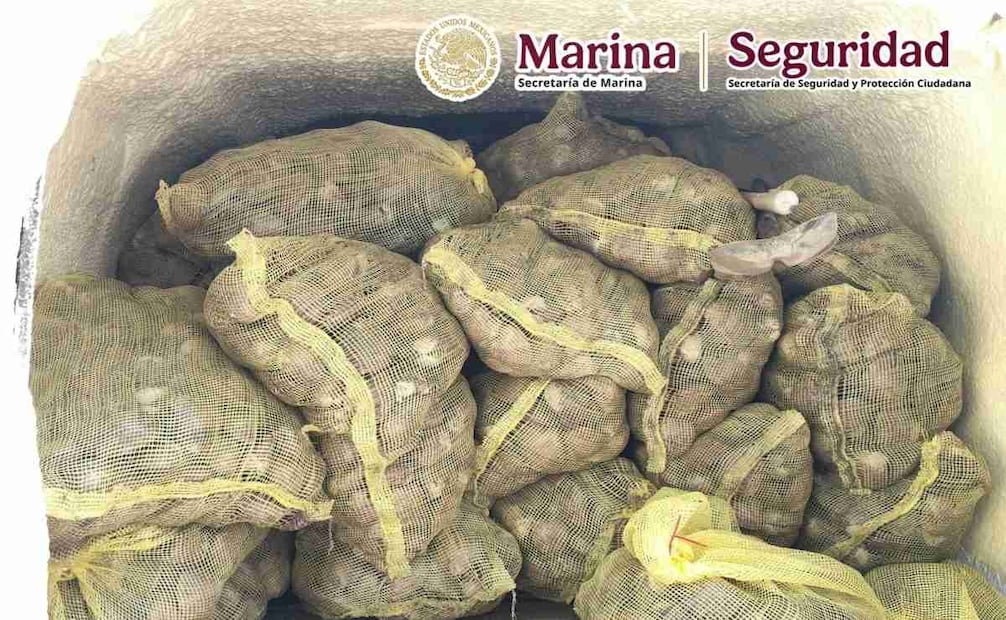 En Baja California Sur fueron detenidos dos sujetos por transportar tres toneladas de almeja chocolata en veda y 200 pastillas de fentanilo. Foto: Gabinete de Seguridad
