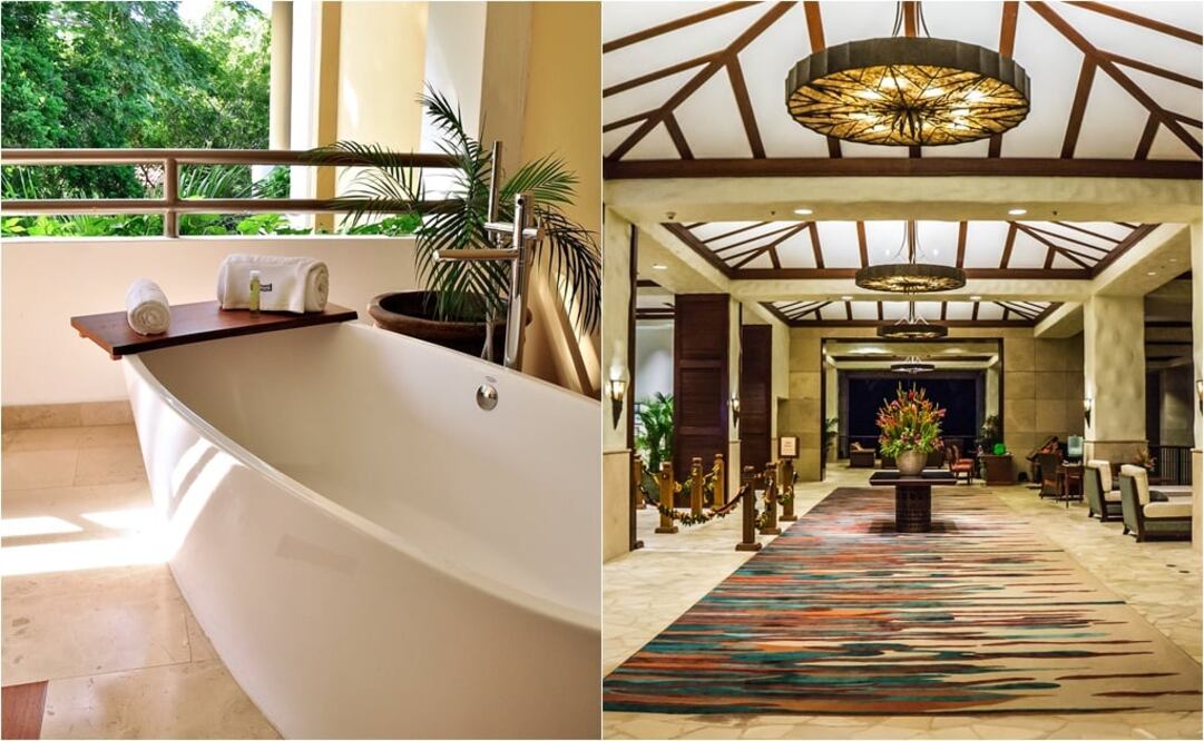 Hoteles de gran categoría han comenzado a reemplazar las botellitas de shampoo (Crédito: Pixabay)