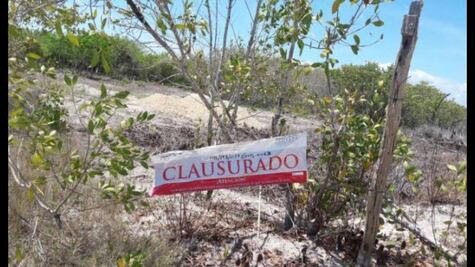 Clausura Profepa construcción de departamentos en Holbox