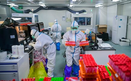 Vacuna contra Covid-19: ¿En qué se diferencian las Oxford, Pfizer y Moderna?