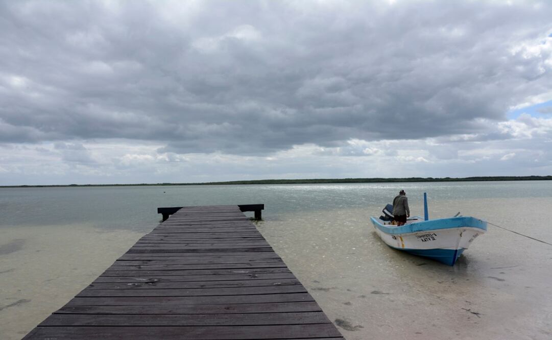 Foto: Archivo/Cuartoscuro