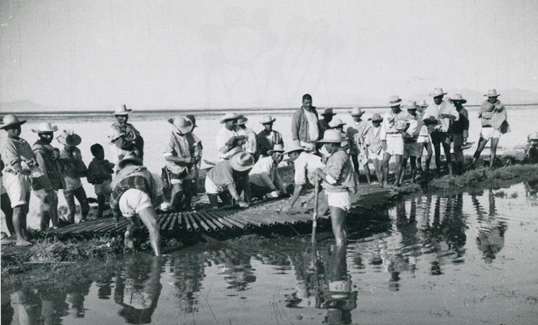 Lago de Texcoco: De pulmón a desierto de sal