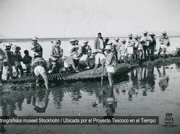 Lago de Texcoco: De pulmón a desierto de sal