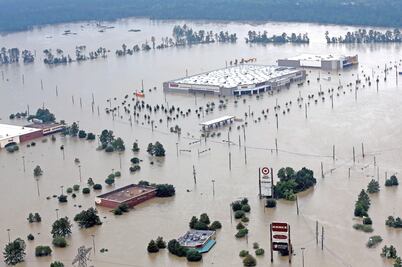 La realidad nos ahoga 