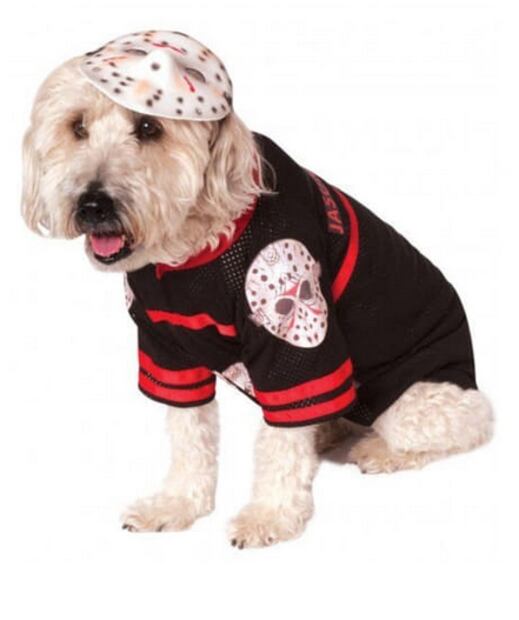 Estos son los mejores disfraces de Halloween 2019 para mascotas