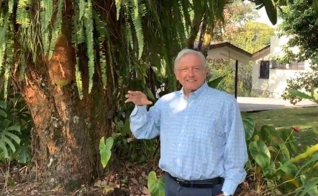 El paraíso de la 4T