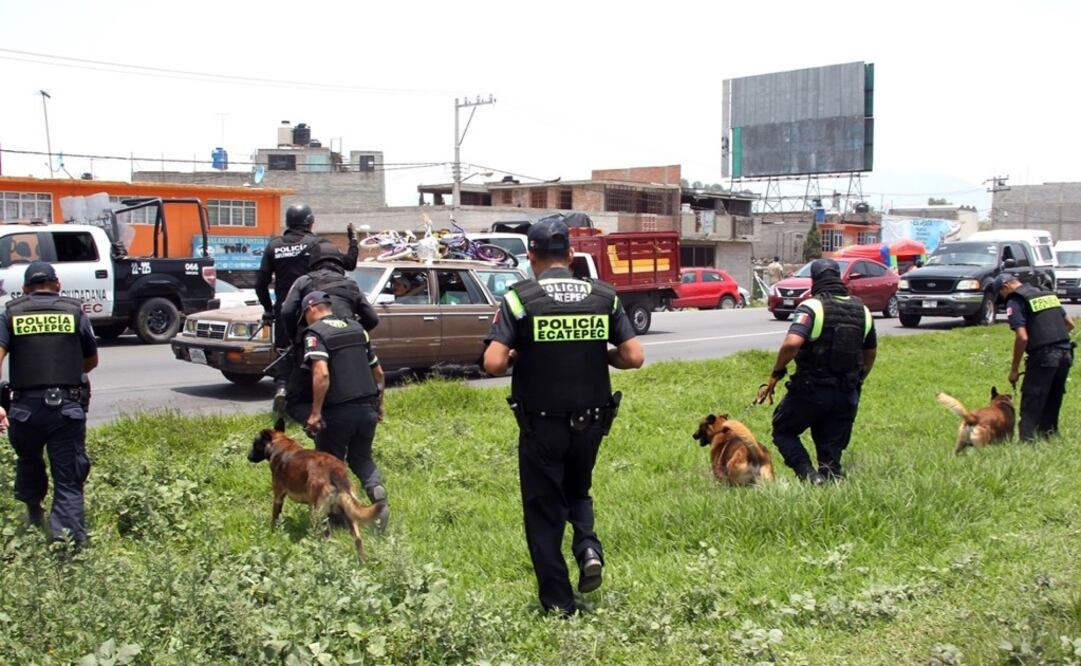 (Foto: Emilio Fernández Román)