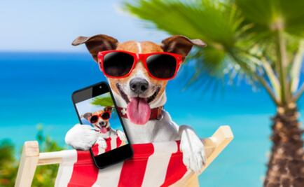 Vacaciones con 65% de descuento por HotSale