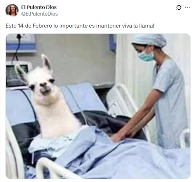 Memes del 14 de febrero. Foto: X