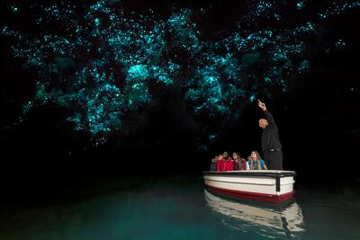 Conoce las cuevas bioluminiscentes de Nueva Zelanda