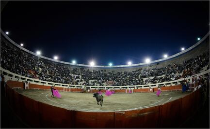 El Conundrum Taurómaco