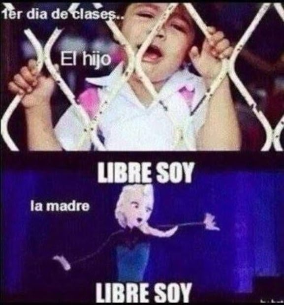 Los mejores memes que dejó el inicio del ciclo escolar 2026-2027. Foto: Redes sociales