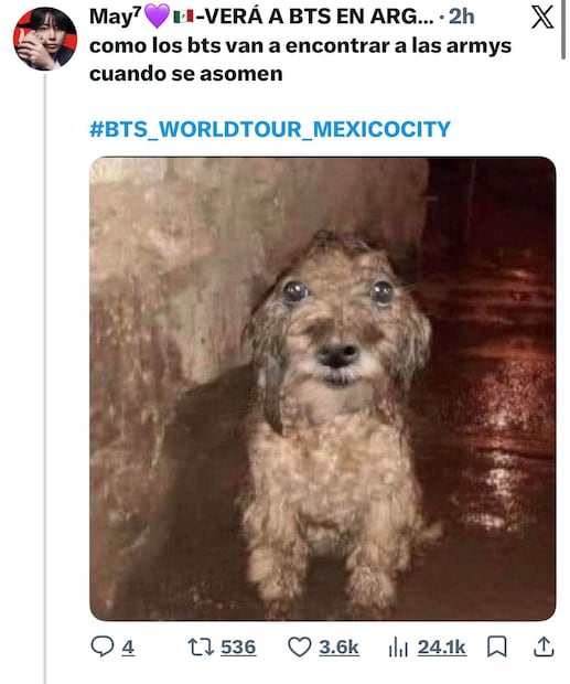 Los mejores memes que dejó BTS en el Palacio Nacional. Foto: Redes Sociales