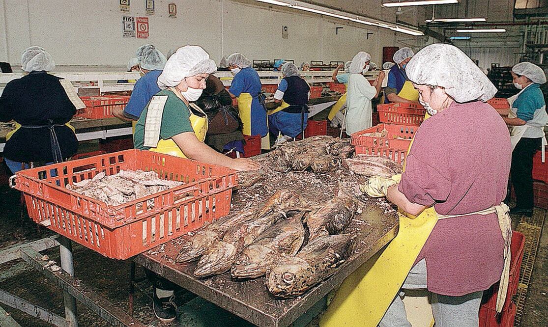 Entérate. La batalla de México- EU por el atún 