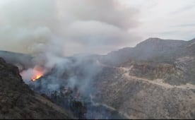 Incendio arrasa viviendas en poblado de San José Comondú, Baja California Sur; investigan quema de palmar