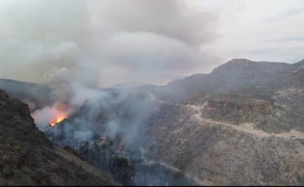 Incendio arrasa viviendas en poblado de San José Comondú, Baja California Sur; investigan quema de palmar