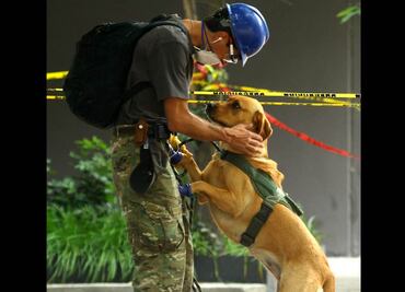 Es muy poco probable que ocurra réplica del sismo de 7.1 grados: Cenapred