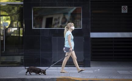 No se ha comprobado que el pelaje de mascotas transmita Covid-19