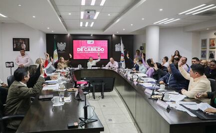 La Paz prohíbe la venta y uso de pirotecnia ruidosa; buscan proteger a grupos vulnerables