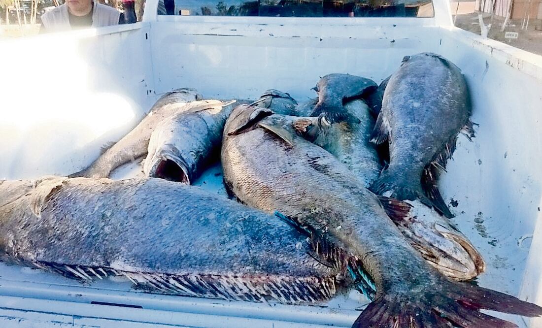 (ARCHIVO. EL UNIVERSAL)