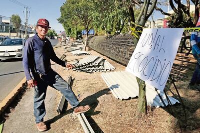 Protestan colonos por tala de árboles
