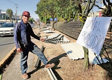 Protestan colonos por tala de árboles