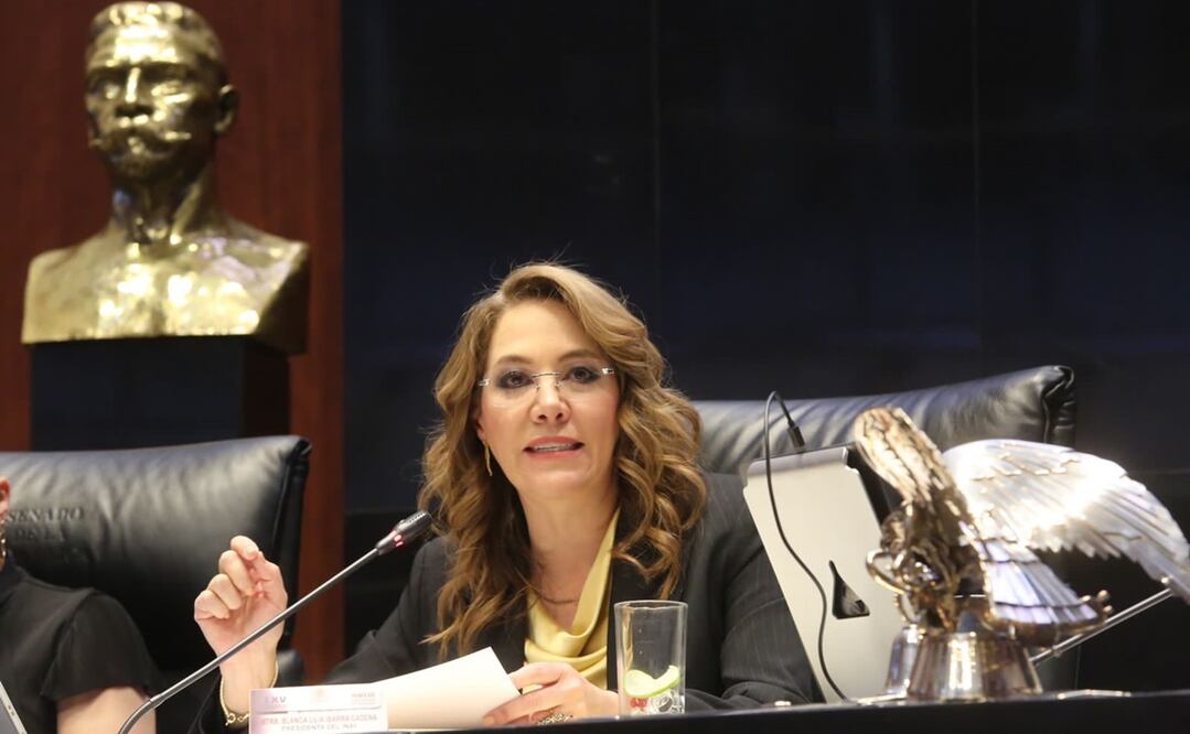 Blanca Lilia Ibarra Cadena, presidenta del Instituto Nacional de Transparencia, Acceso a la Información y Protección de Datos Personales. Foto: Tomada de Twitter/ @bl_ibarra