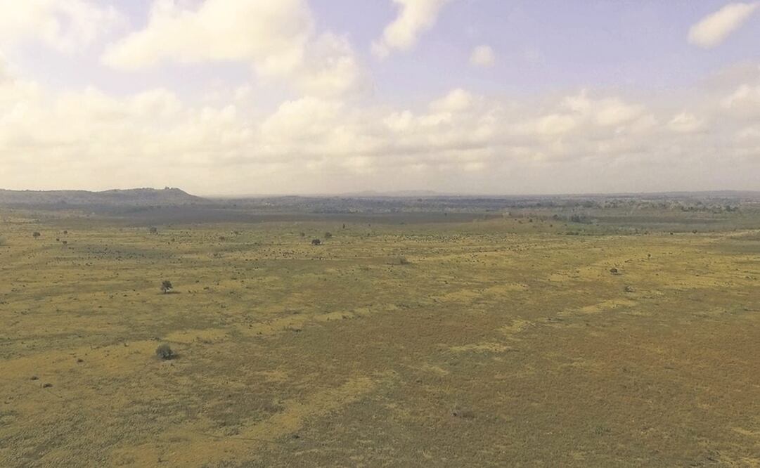 En marzo de 2013, Plant for the Planet llegó a Constitución, en Campeche, que estaba devastado por la deforestación, con el objetivo de revertir el daño ambiental en la zona y hacer frente a la crisis climática. Foto: Plant for the Planet. Cortesía