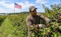 Trabajo en Estados Unidos. Foto: ChatGPT