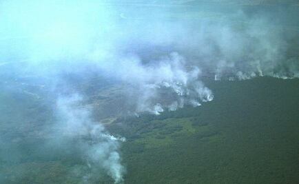 Sofocan incendio en biósfera La Encrucijada, en Chiapas