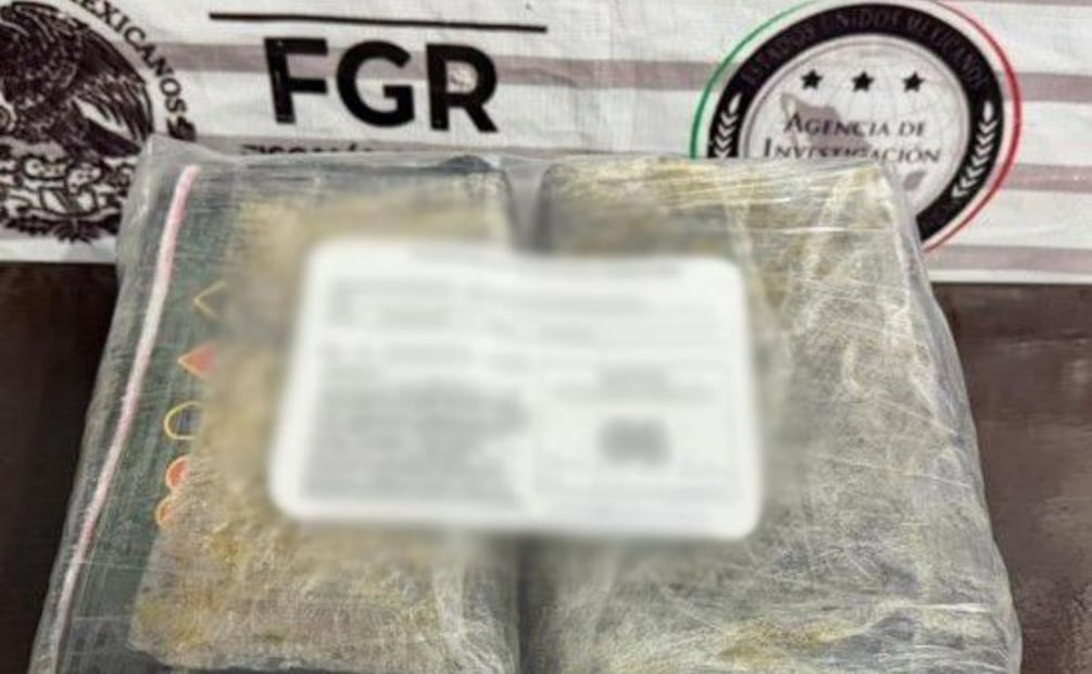 Autoridades federales aseguran 244 kilos de droga en diversos estados (08/04/2026). Foto: Especial