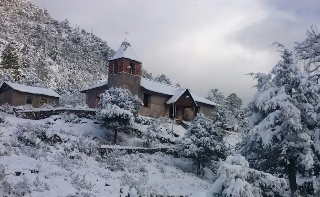 Foto: Notimex/ Archivo