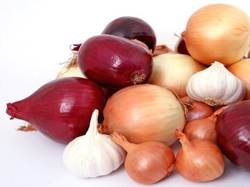 Tipos de cebolla y sus usos
