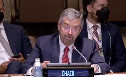 México preside comité contra la proliferación de armas de destrucción masiva del Consejo de Seguridad de la ONU