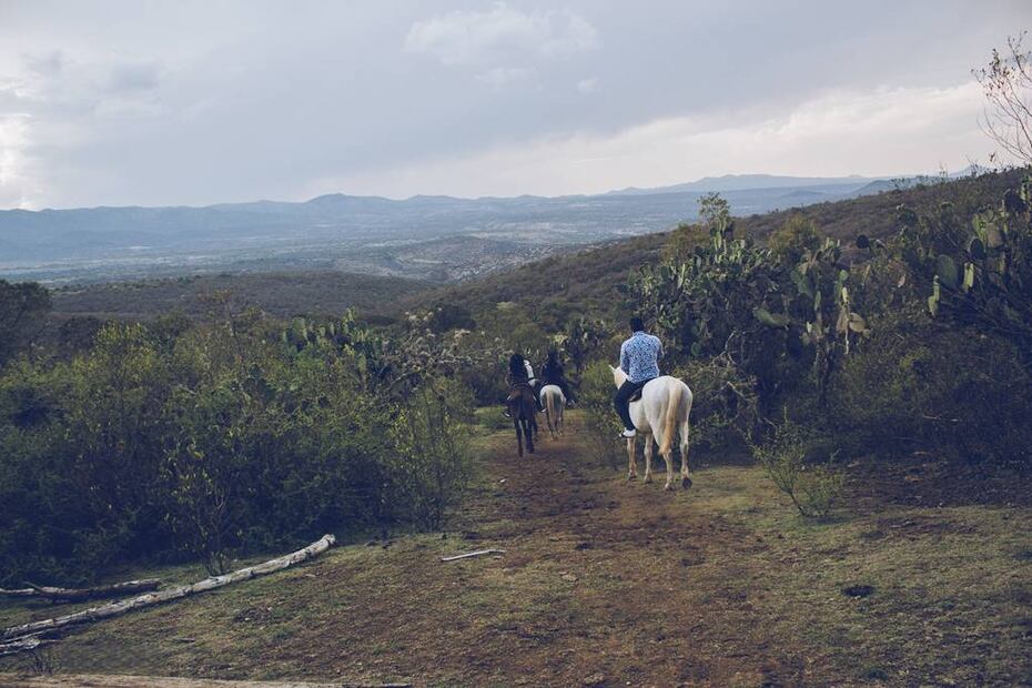 Foto: DNA Photograhy/Ecoparque Cráter Encantado
