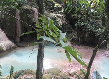 Cascadas de Agua Azul pierden fuerza de nuevo