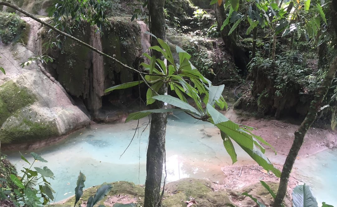 FOTO: Fredy Martín Pérez. EL UNIVERSAL