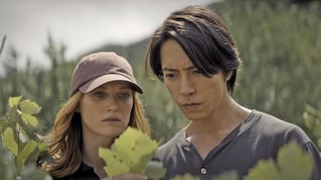 "Gotas" que mezclan vino y salud mental 