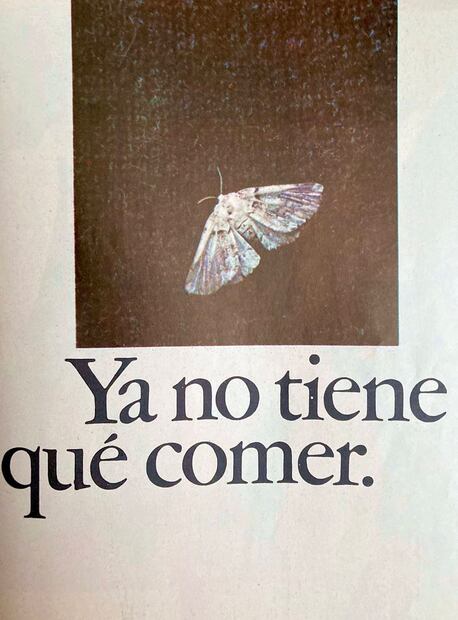 Este anuncio promocionaba las prendas de tela sintética como un producto que daba la ventaja de despreocuparse de guardar ropa que pudiera caer en las fauces de las larvas de polilla. Foto: Colección Villasana.