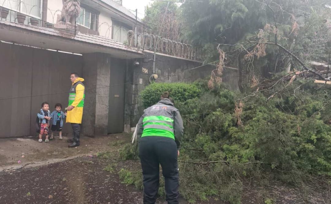 Fuertes lluvias provocan afectaciones en alcaldías de la CDMX. Foto: Especial.