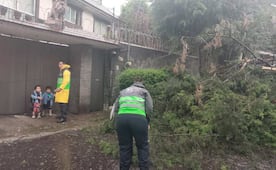 Fuertes lluvias de este 11 de junio dejan caos en la CDMX; reportan árboles caídos, encharcamientos y hasta un herido