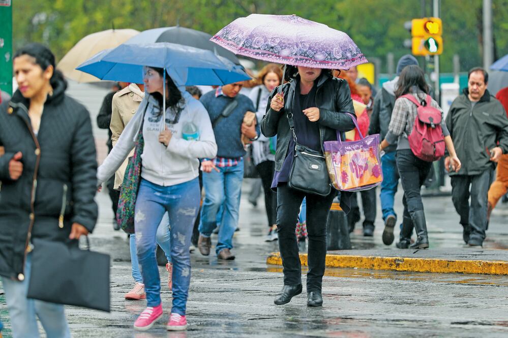 Foto: Archivo / EL UNIVERSAL