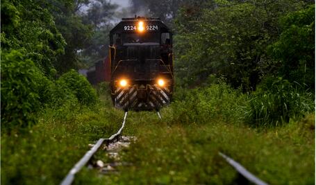 Publica DOF decreto de expropiación de 231 terrenos para tramo 5 del Tren Maya