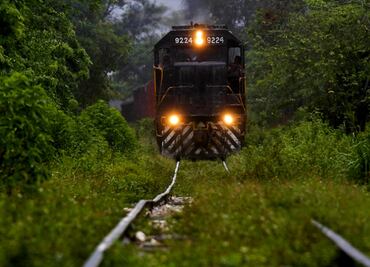 Publica DOF decreto de expropiación de 231 terrenos para tramo 5 del Tren Maya